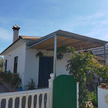 Alojamiento Rural La Perdiz La Puebla de los Infantes Kültér fotó