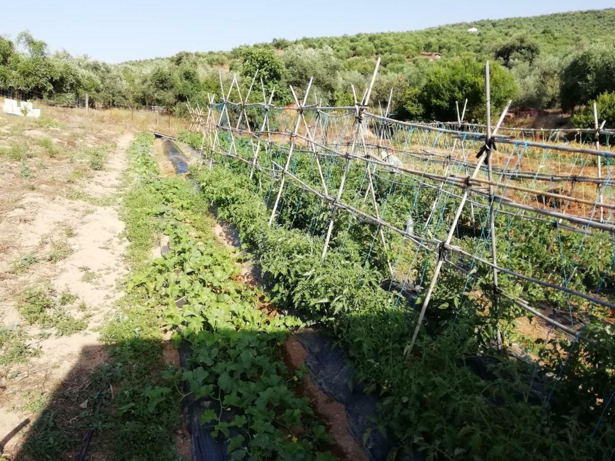Alojamiento Rural La Perdiz La Puebla de los Infantes Kültér fotó