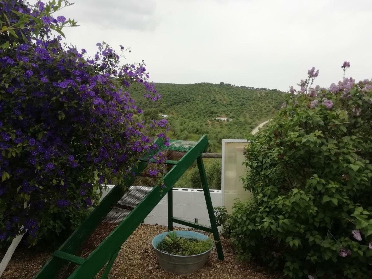 Alojamiento Rural La Perdiz La Puebla de los Infantes Kültér fotó